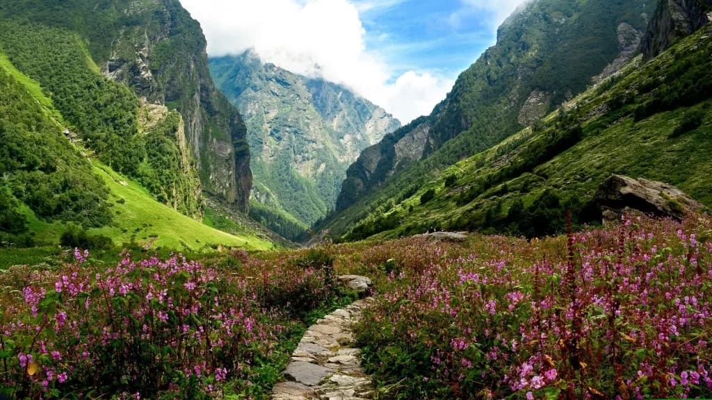 Valley of Flower